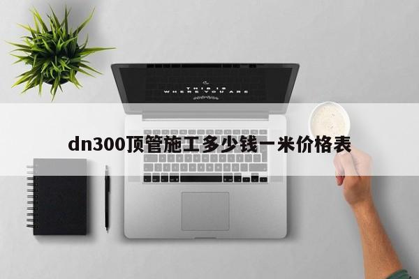 dn300顶管施工多少钱一米价格表